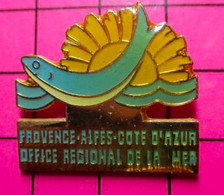 1615C Pin's Pins / Beau Et Rare / THEME : ADMINISTRATIONS / OFFICE REGIONAL DE LA MER PROVENCE ALPES COTE D'AZUR PACA - Administrations