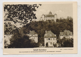 5430 MONTABAUR, Blick Auf Schloß Montabaur Und Umgebung - Montabaur