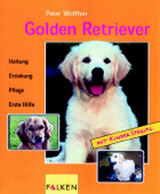 Golden Retriever - Animales