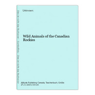 Wild Animals Of The Canadian Rockies - Animals