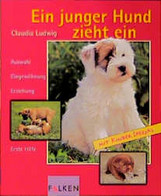 Ein Junger Hund Zieht Ein - Animaux