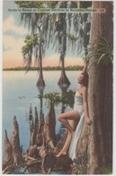 CYPRESS GARDEN FL Study In Knees Beautiful Pretty Woman LINEN Postcard 1951 - Orlando