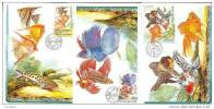 4 Cartes Maximum 2003 Poissons D' Aquarium Maximum Card Fishes - FDC