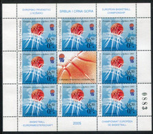 YUGOSLAVIA (Serbia & Montenegro)  2005 European Basketball Championship  Sheetlet MNH / **.  Michel 3288 Kb - Blokken & Velletjes