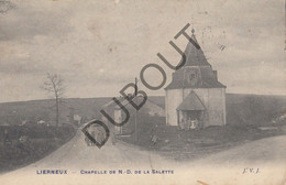 Postkaart/Carte Postale  - LIERNEUX - Chapelle De ND De La Salette  (C1620) - Lierneux