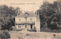 Ouzouer-sous-Trézée       45         Château Beau-Chêne          (voir Scan) - Andere & Zonder Classificatie