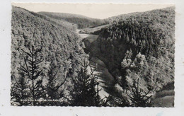 5455 RENGSDORF - HARDERT, Blick In Das Aubachtal, 1965 - Neuwied