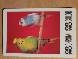 Pocket Calendar Taschenkalender DDR East Germany Filmfabrik Wolfen ORWO 1983 Wellensittich Budgerigar - Grand Format : 1981-90