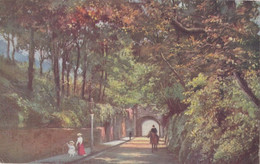 REIGATE, Surrey, England, 1900-10s; Tunnel Road; TUCK 7307 - Surrey