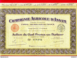 TITRES (Ref : F&T024) VIEUX PAPIERS ACTIONS & TITRES -  COMPAGNIE AGRICOLE D'ANNAM PARIS - Agriculture