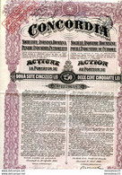 TITRES (Ref : F&T037) VIEUX PAPIERS ACTIONS & TITRES CONCORDIA Société Anonyme ROUMAINE - Petrolio