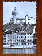 SVIZZERA SUISSE -SCHAFFHAUSEN -F.P. - Hausen Am Albis 