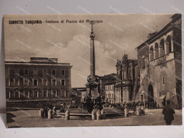 Italy 2x Postcard Viterbo CORNETO TARQUINIA Fontana Piazza Municipio Villa Bruschi Falgari 1904 - Viterbo