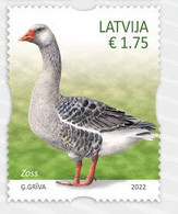 2022 Latvia , Lettland , Lettonia  - Pets, Domestic Animals - Goose  MNH - Ohne Zuordnung