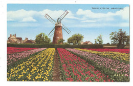 RP Spalding Windmill Lincolnshire Unused Tulip Fields - Otros & Sin Clasificación