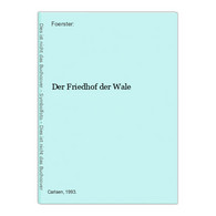 Der Friedhof Der Wale - Sonstige & Ohne Zuordnung