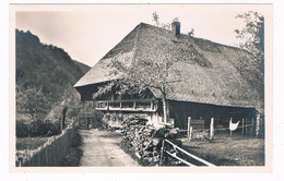 D-13397  GESCHWEND : Schwarzwaldhaus - Todtnau