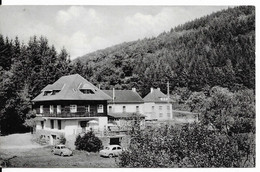 - 707 -   BURG-REULAND  Hotel Du " Val De L'Our"  ( Coccinelles , Kaeffer ) - Burg-Reuland