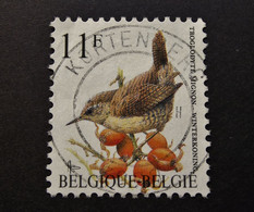 Belgie Belgique - 1990  OPB/COB  N° 2449 -  Winterkoninkje - Buzin -  11 F - Kortenberg - 1992 - 1985-.. Birds (Buzin)