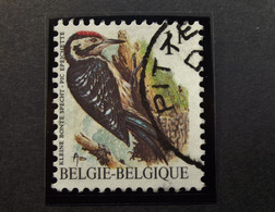 Belgie Belgique - 1990 -  OPB/COB  N° 2349 -  Specht  - Buzin -  1 F - Pittem - 1990 - 1985-.. Birds (Buzin)