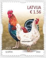 Latvia Lettland Lettonie 2022 (01-3) Pets - Chicken - Hen - Rooster - Latvia