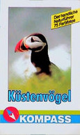 Küstenvögel - Animals