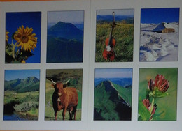 Petit Calendrier Poche 2001 L'Auvergne Au Fil Des Saisons Tournesol Volcan Vache ..... - Small : 2001-...