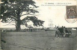 AFRIQUE  GUINEE CONAKRY Entrée De La Rade - Guinea Francese