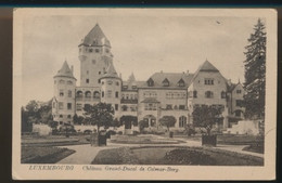 LUXEMBOURG  CHATEAU GRAND DUCAL DE COLMAR BERG      2 SCANS - Colmar – Berg