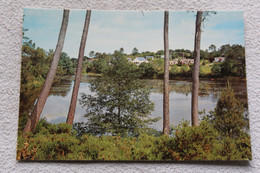 G663, Cpm, Moisdon La Rivière, L'étang De La Forge, Loire Atlantique 44 - Moisdon La Riviere