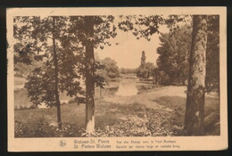 WOLUWE ST.PIERRE  VUE DES ETANGS VERS LE PONT RUSTIQUE - St-Pieters-Woluwe - Woluwe-St-Pierre