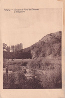 Delcampe - Petigny - Un Coin Du Fond De Cheneau - L'adugeoire - Couvin