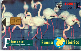 Delcampe - 27265 - Spanien - Fauna Iberica , Flamenco , Flamingo - Basic Issues