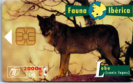 Delcampe - 27267 - Spanien - Fauna Iberica , Lobo , Wolf - Basic Issues