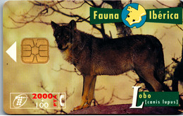 Delcampe - 27268 - Spanien - Fauna Iberica , Lobo , Wolf - Basic Issues