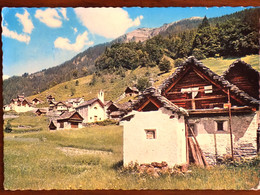 SVIZZERA SUISSE -PIANO DI CAMPO VALLE MAGGIA TESSIN -F.G. - Campo