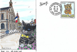 Enveloppe Illustrée - Illustrateur SCHANGI - 15 8 2001 - MARCKOLSHEIM - Chat - - Storia Postale