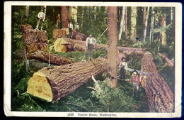 Cpa USA  Washington , Timber Scene    JA22-67 - Seattle