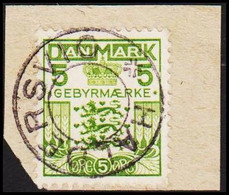 HALDERSVIG. On 5 ØRE GEBYRMÆRKE. LUXUS.  - JF515060 - Postage Due