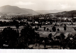 ANOULD  -  CPSM  -  Vue De La Souche  -  Au Fond, La Papeterie - Anould