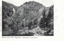 68 Munster   -    Munsterthal ,  Fischbodle - Munster