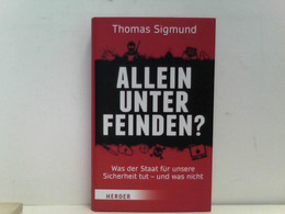 Allein Unter Feinden?: Was Der Staat Für Unsere Sicherheit Tut - Und Was Nicht - Politik & Zeitgeschichte