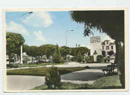 ÁGUEDA, Aveiro - Jardim Conde De Sucena  (2 Scans) - Aveiro