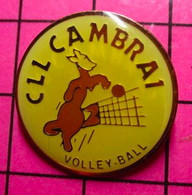 413c Pin's Pins / Beau Et Rare / THEME : SPORTS / CLUB VOLLEY-BALL KANGOUROU CLL CAMBRAI - Pallavolo