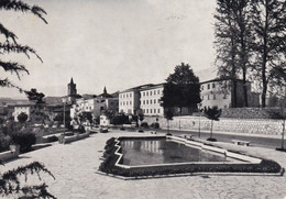 ASCOLI PICENO - VIALE DE GASPERI - Ascoli Piceno