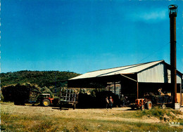 Alpes De Haute Provence * Scène Typique * Au Pays De La Lavande * La Distillerie De Campagne * Travail Aux Champs - Autres & Non Classés