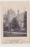 Heverlee (le Château Du Duc D'Arenberg 1902 Met Volk) - Leuven