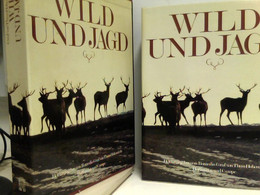 Wild Und Jagd - Animals