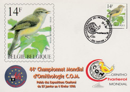 172.BUZIN.LE POUILLOT FITIS - 1985-.. Birds (Buzin)