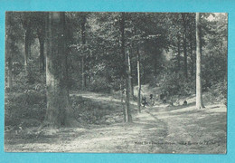 * Ruien - Ruyen (Kluisbergen) * (Edit L. Collin Alost) Mont De L'Enclus, La Route De L'enfer, Bois, Bos, Animée, Old - Kluisbergen